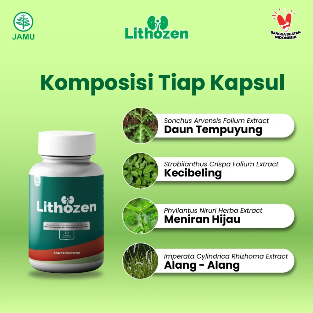 obat batu ginjal,obat batu ginjal ampuh