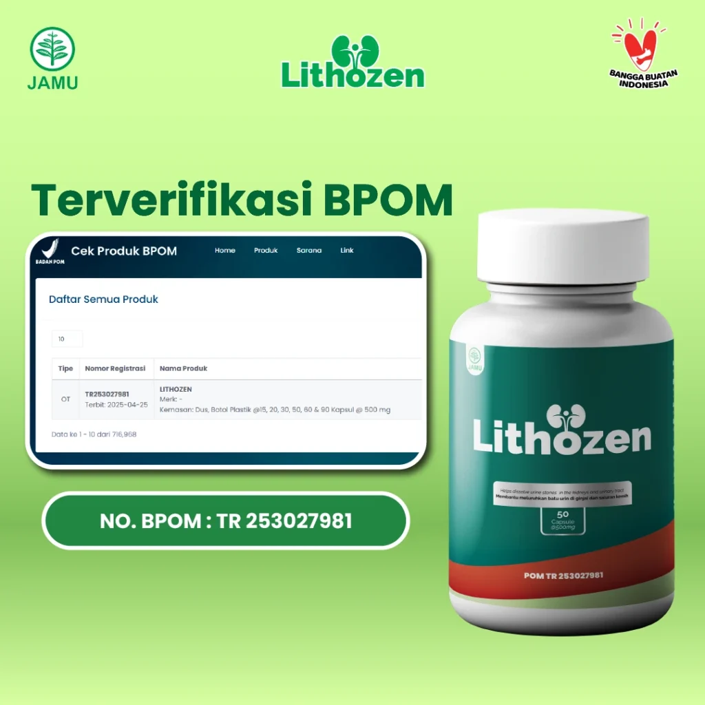 obat batu ginjal,obat batu ginjal ampuh