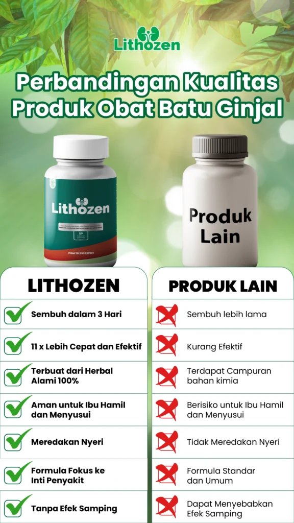 obat batu ginjal,obat batu ginjal ampuh