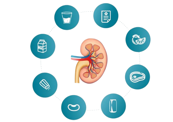 obat batu ginjal,obat batu ginjal ampuh